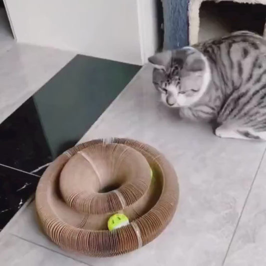 Twisty Paws